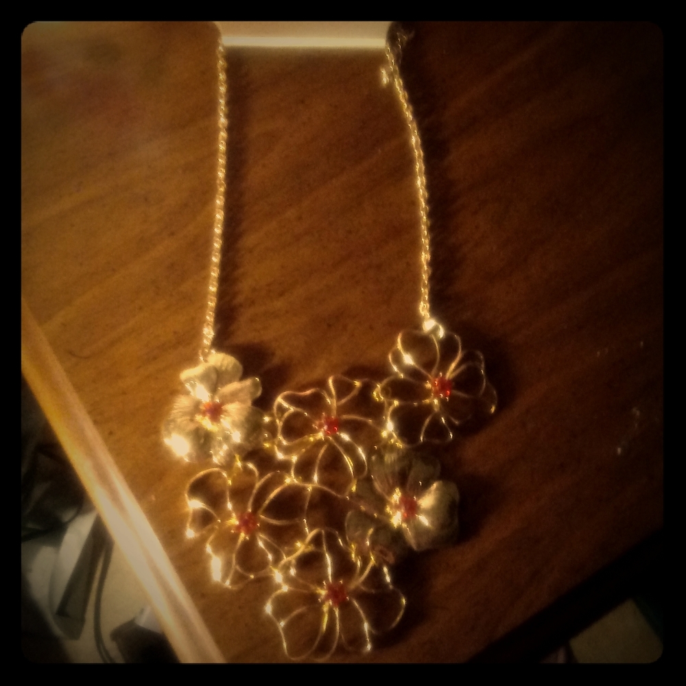 Brand new fashionable necklace brand New!